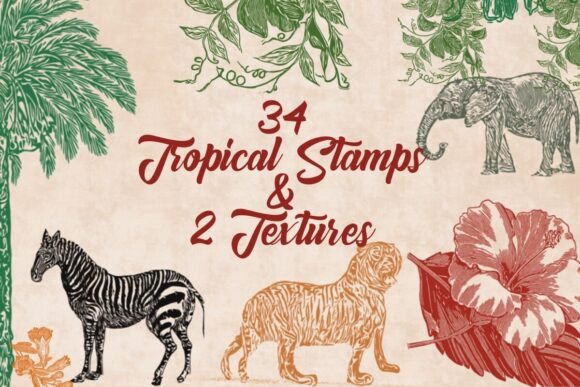 Evaluating 34 Tropical Stamps and 2 Rustic Textures for Digital Illustration